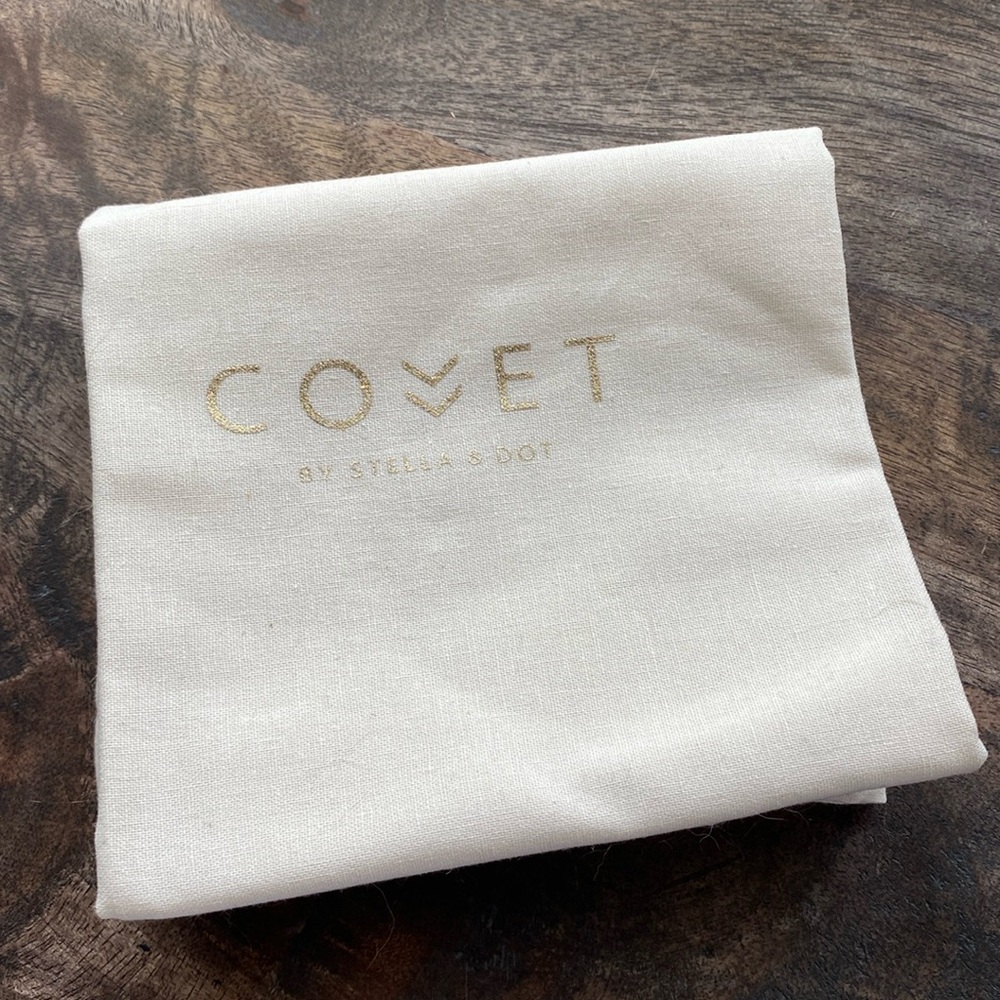 Covet by Stella & Dot purse dust bag new never used 14x14 cream gold
